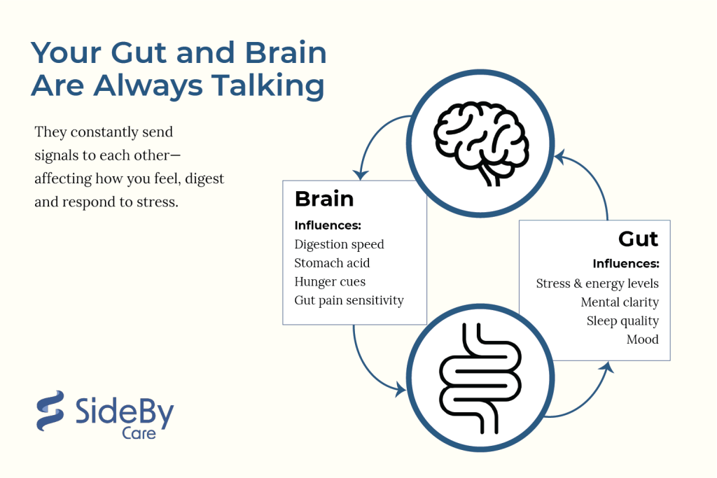 Your Gut and Brain Are Always Talking
